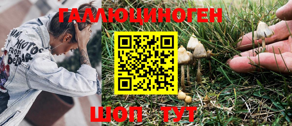 Шебекино  где продают наркотики  Вход с VPN  Галлюциногенные грибы Psilocybine cubensis  Псилоцибиновые грибы мицелий 